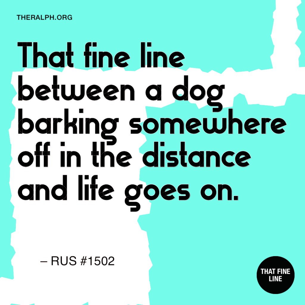 That fine line between a dog barking somewhere off in the distance and life goes on.