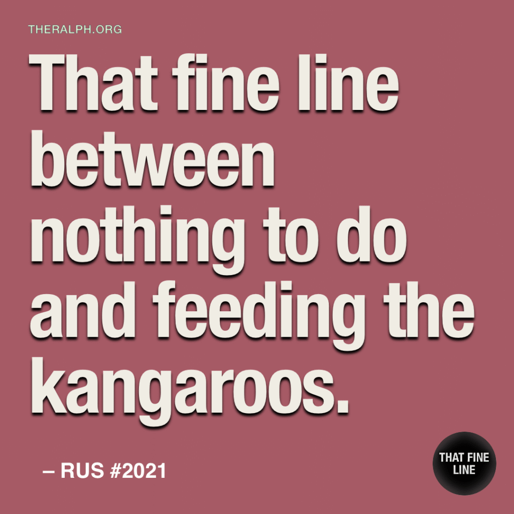 That fine line between nothing to do and feeding the kangaroos.